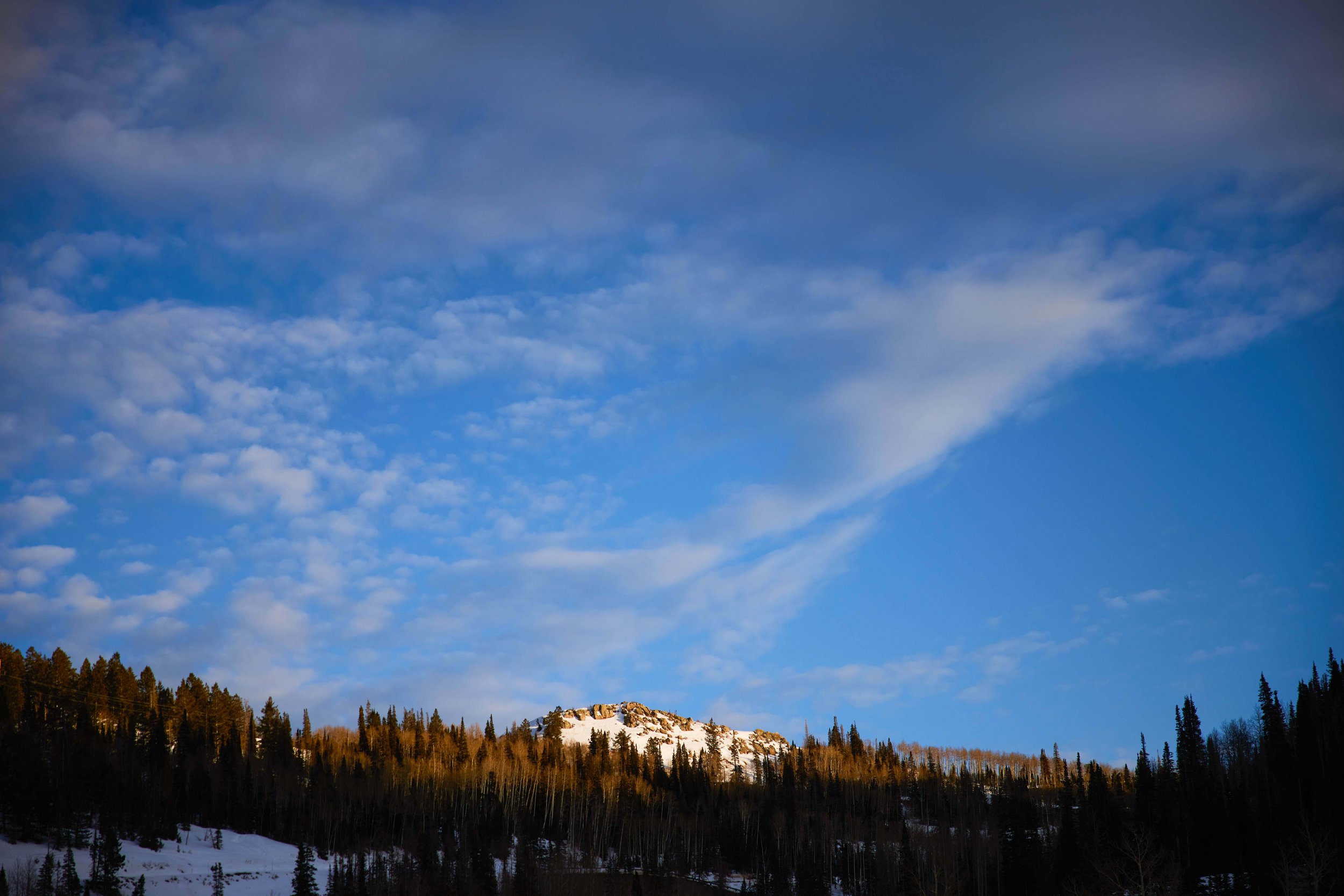 1099650_0323_CC.jpg