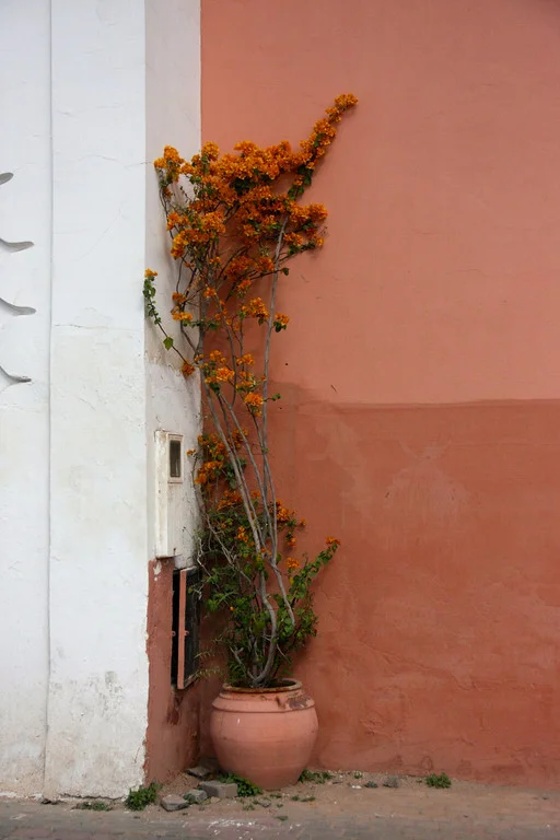 In the shade of the Koutoubia, Marrakesh