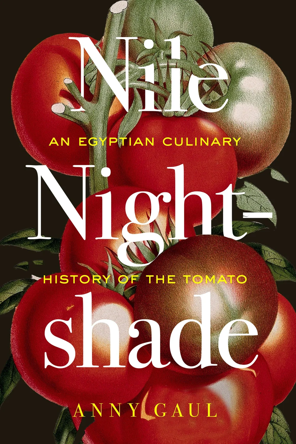 Nile Nightshade: a cultural and culinary history of modern Egypt ...