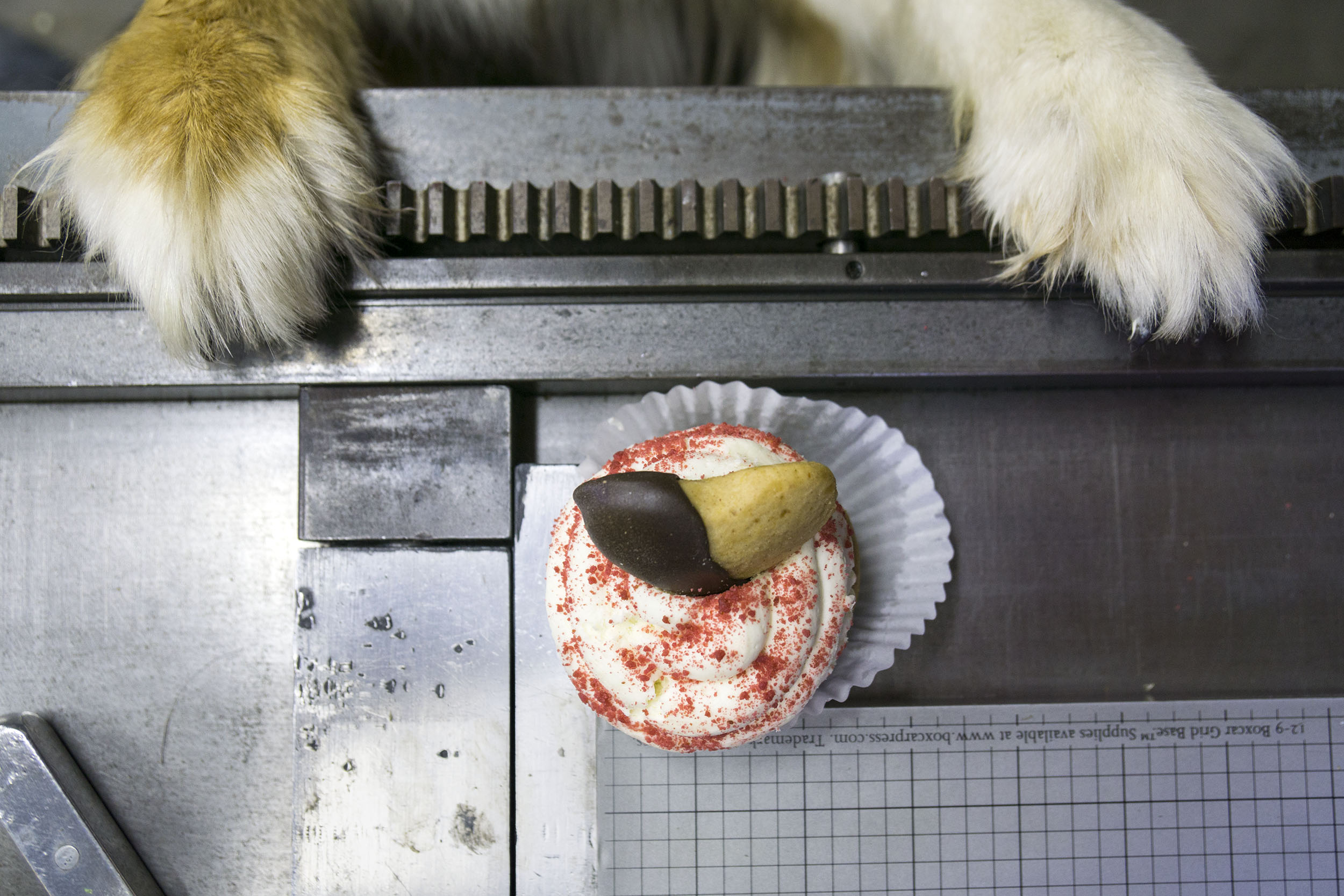 Photo: Julia Walley