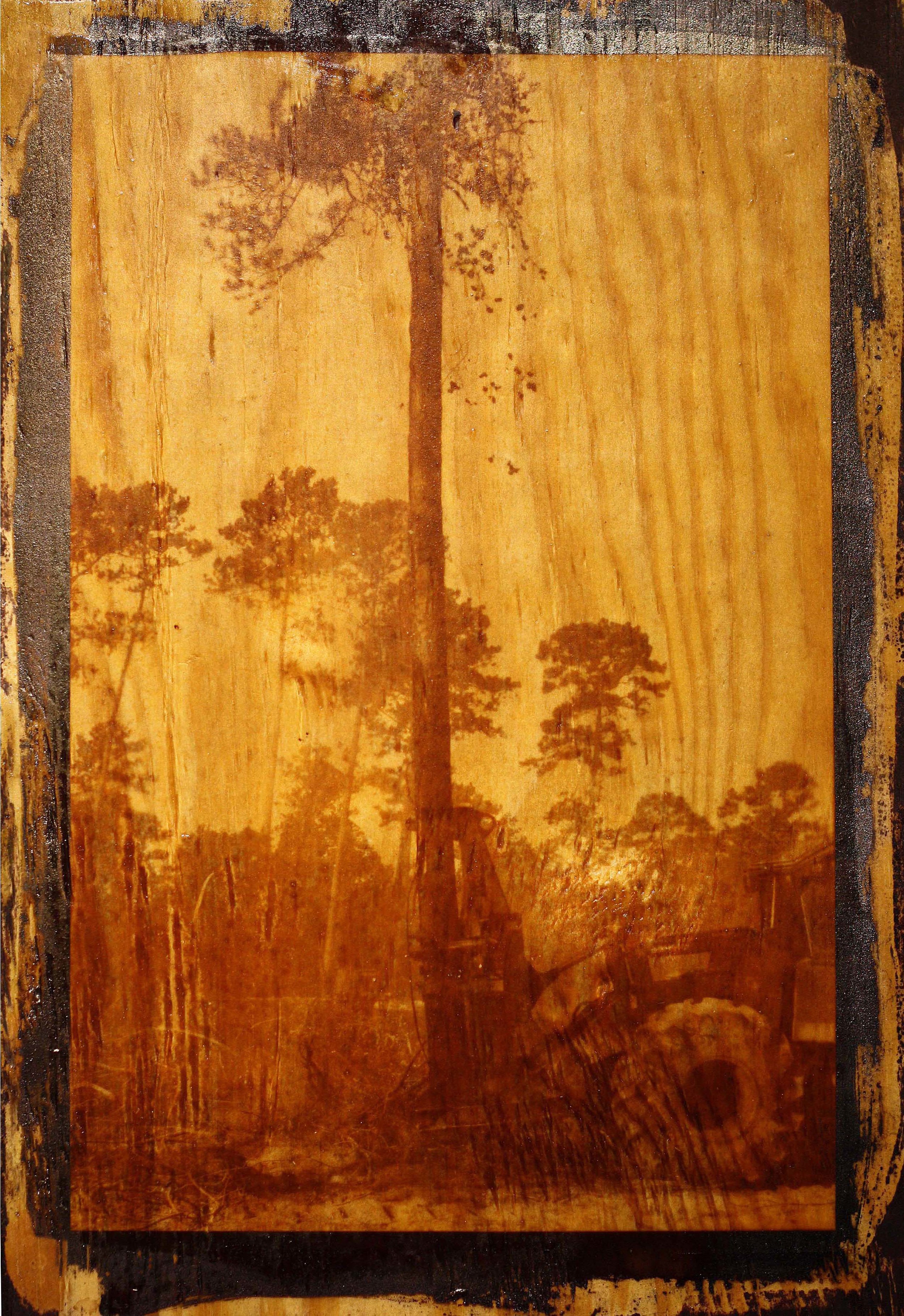 "Memory of Trees" (detail)