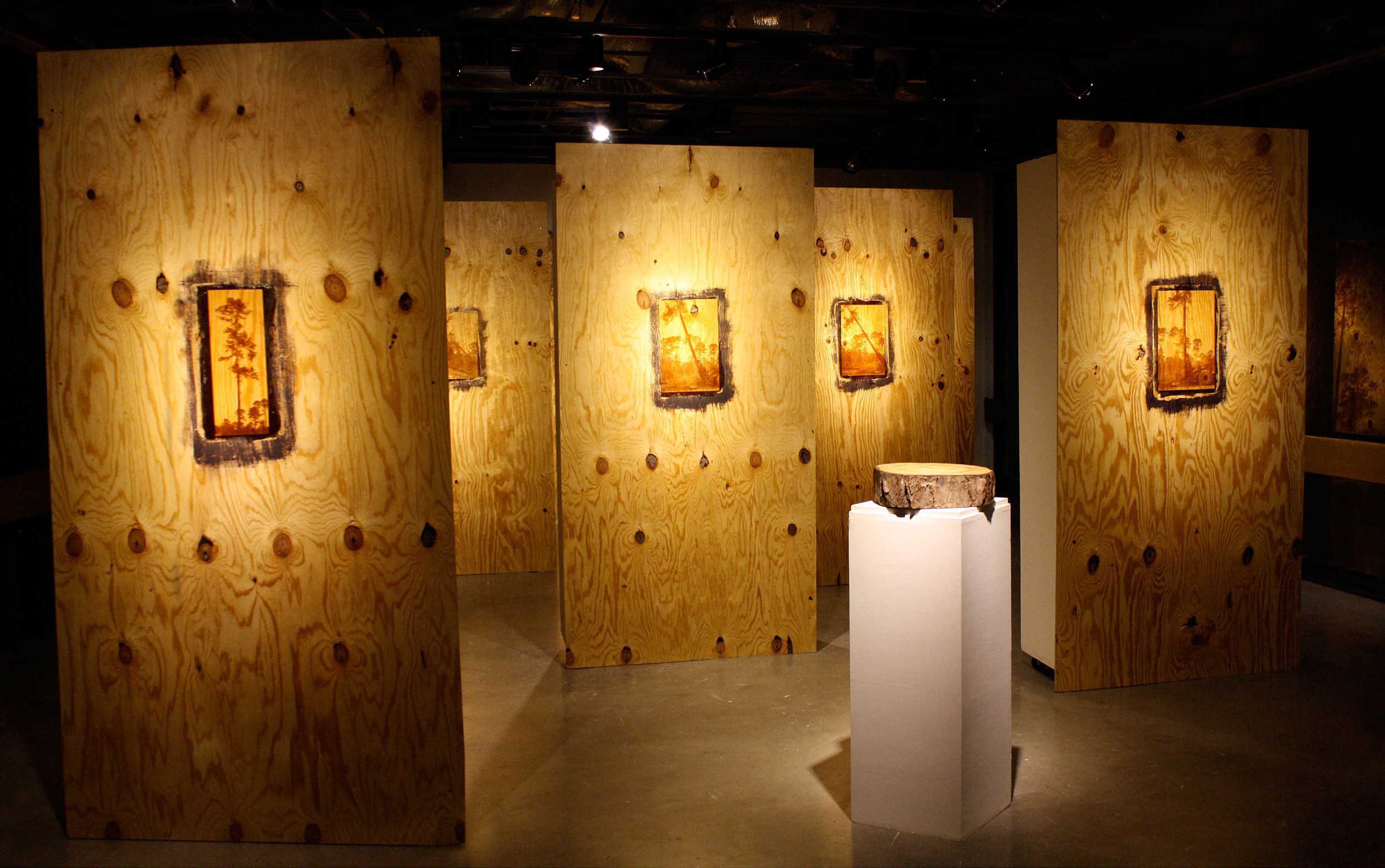 "Memory of Trees" (Plywood Forest)