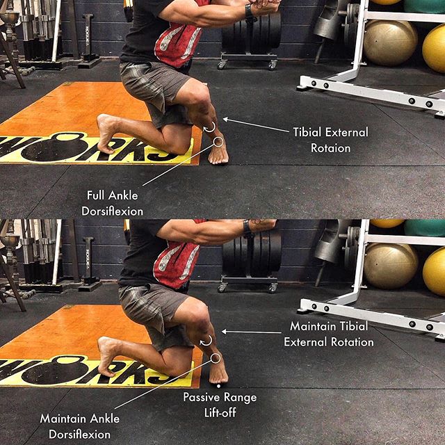 FRC® Passive Range Lift-Off - Dragon Squat 🐉: Tibial External Rotation PRL.
For any given articulation, ranges - the angles attained - that can only be achieved via passive external force is, ergo, Passive. Said ranges attained through the appl