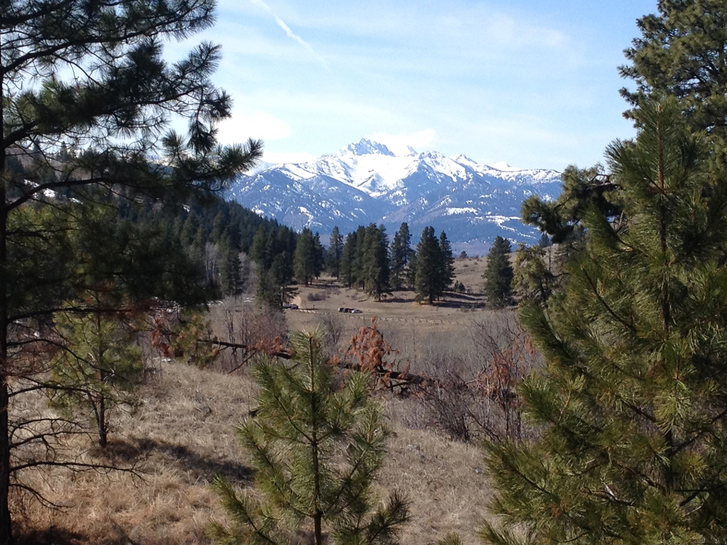 Looking toward the finish of the 9-mile and 1/2 marathon course, with Mt. Gardner in the distance.