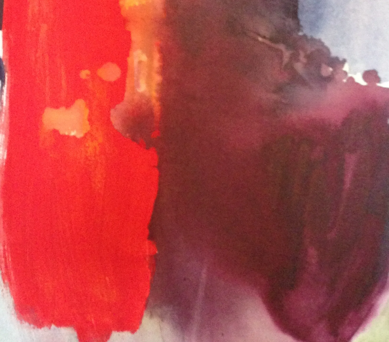 close  up in the moment.JPG