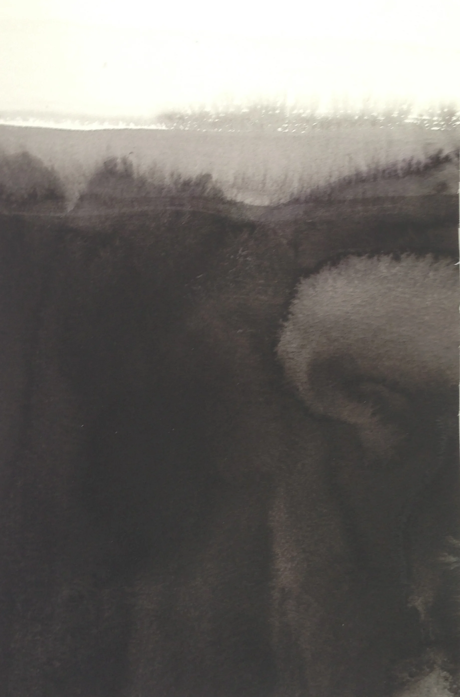  Lost and found land  watercolor  12 x 7 in 