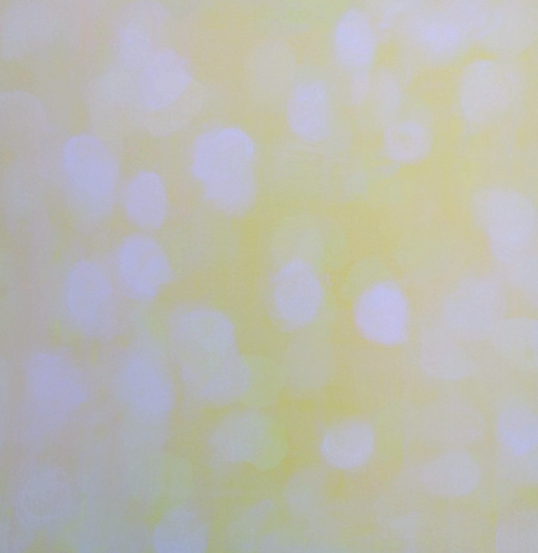 newest light spots 2.JPG