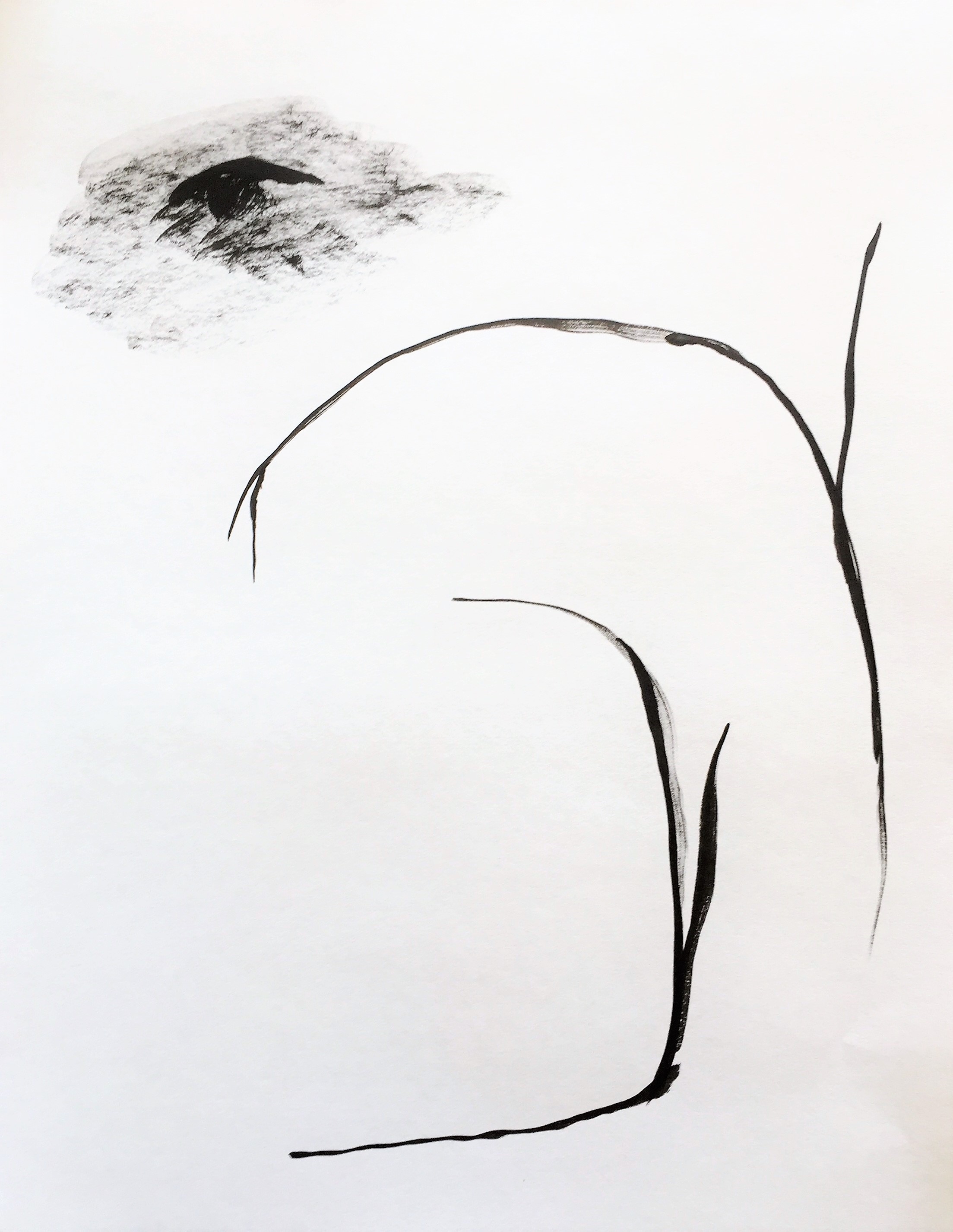 Untitled ink on paper 11 x 14 inches 2017