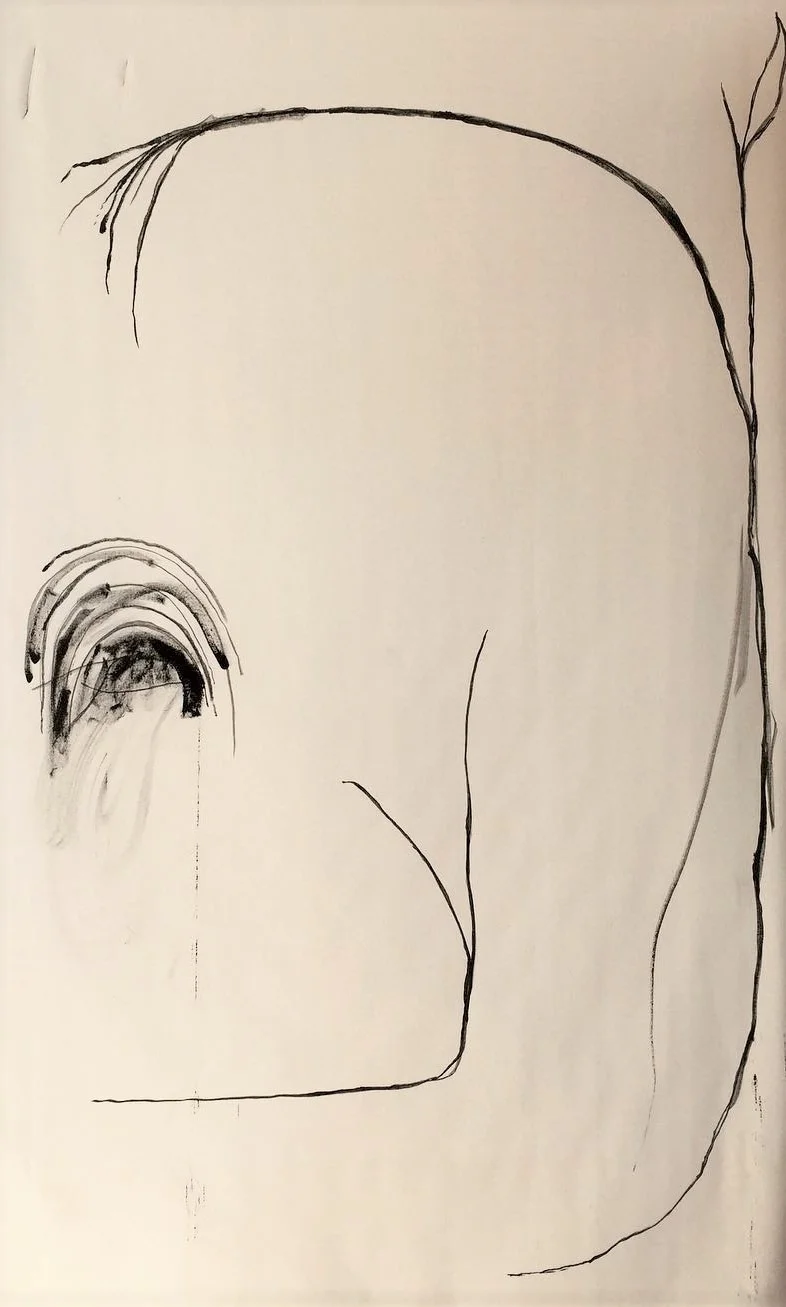 Transit ink on canvas 36 x 70 inches 2017
