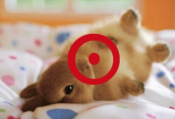 adorable-bunny-rabbit