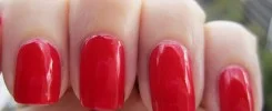 IMG_3819-245x100.jpg