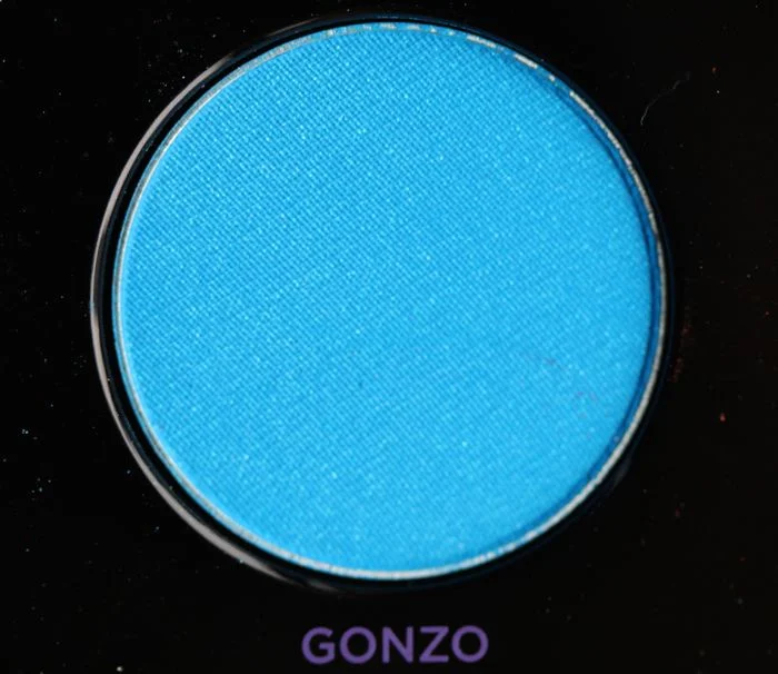 Gonzo (the not so great)