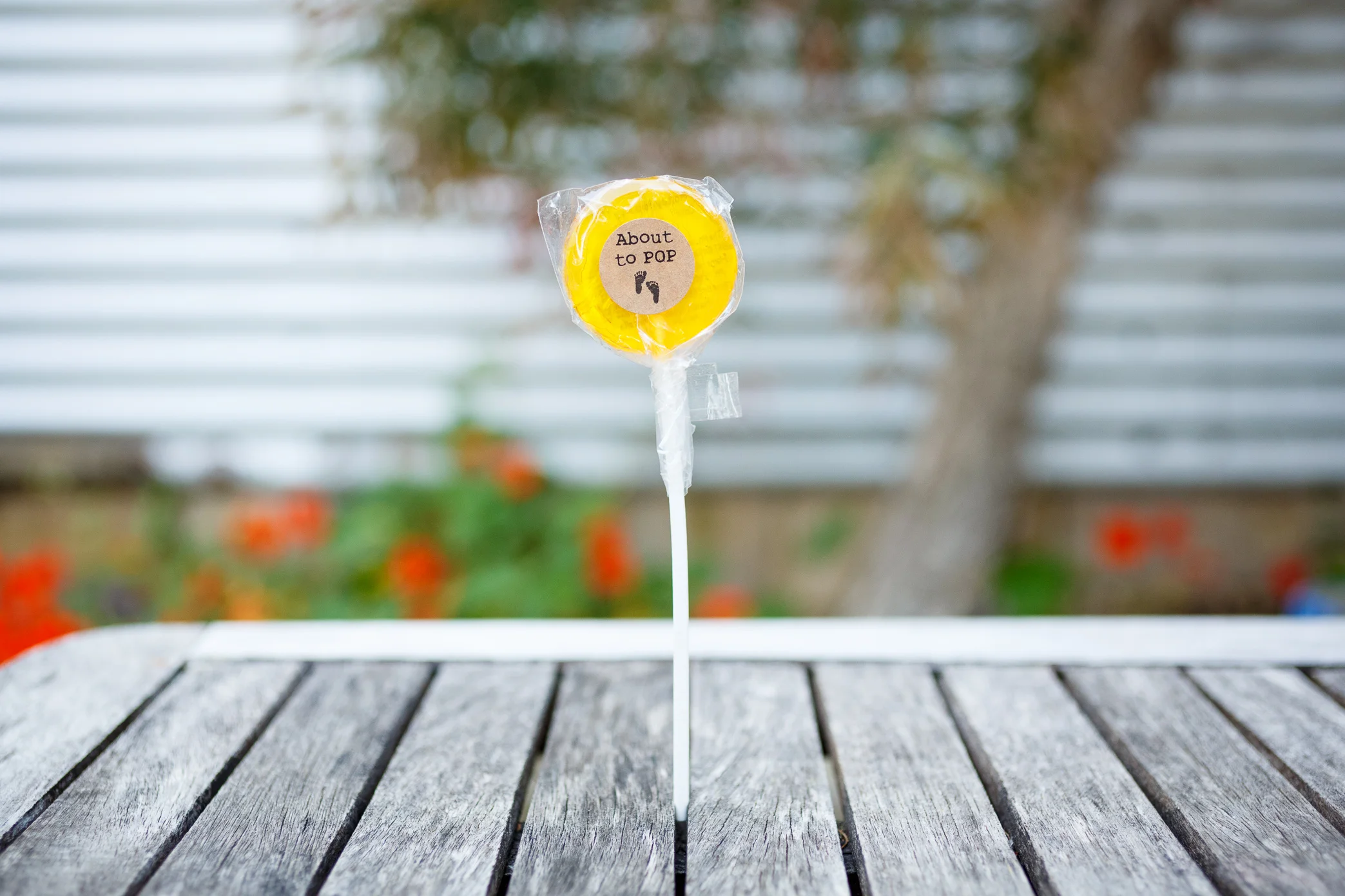 018 HOH Favours 161020b JWyld.jpg