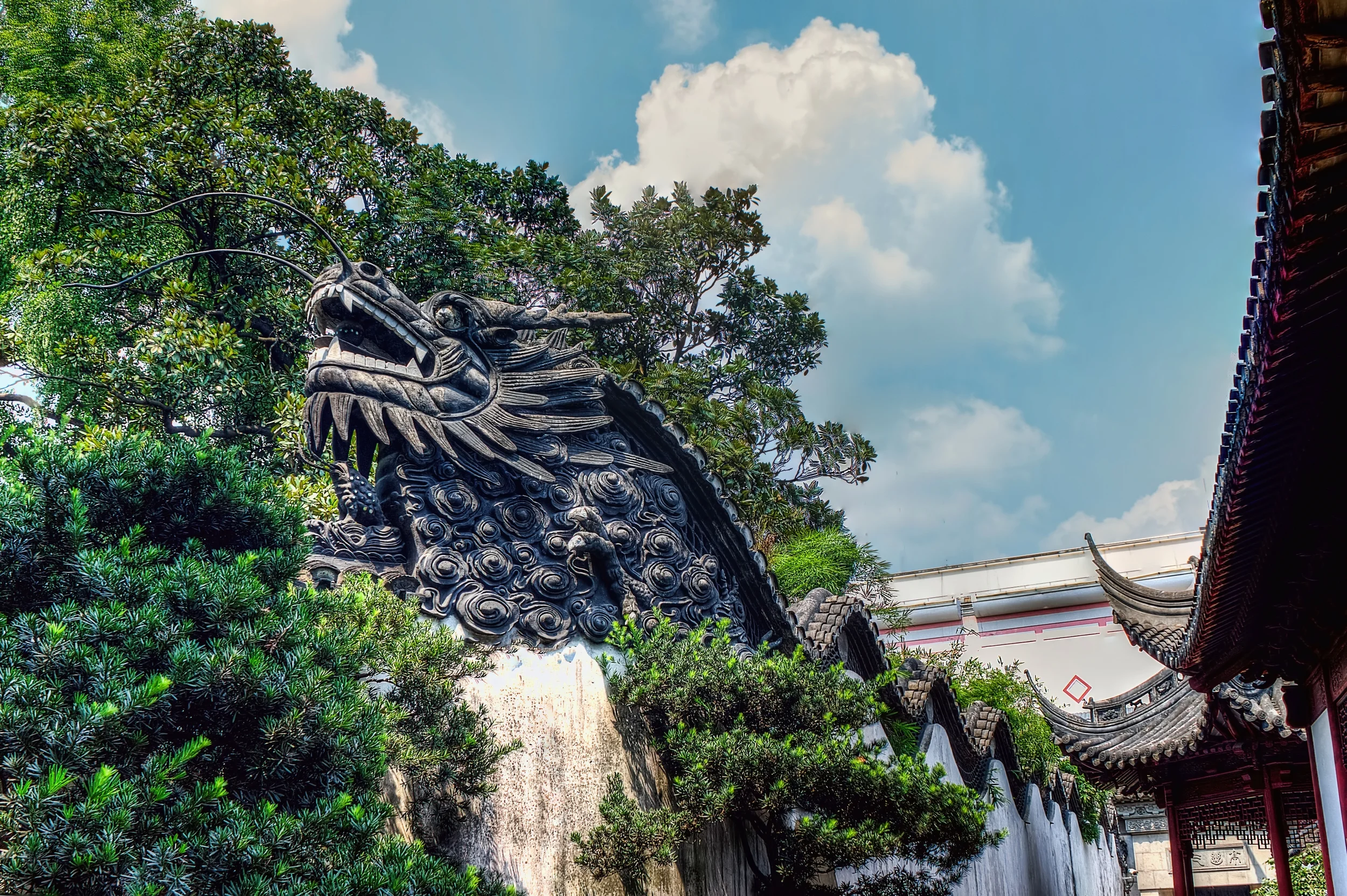 DRAGON EN LOS JARDINES YUYUAN