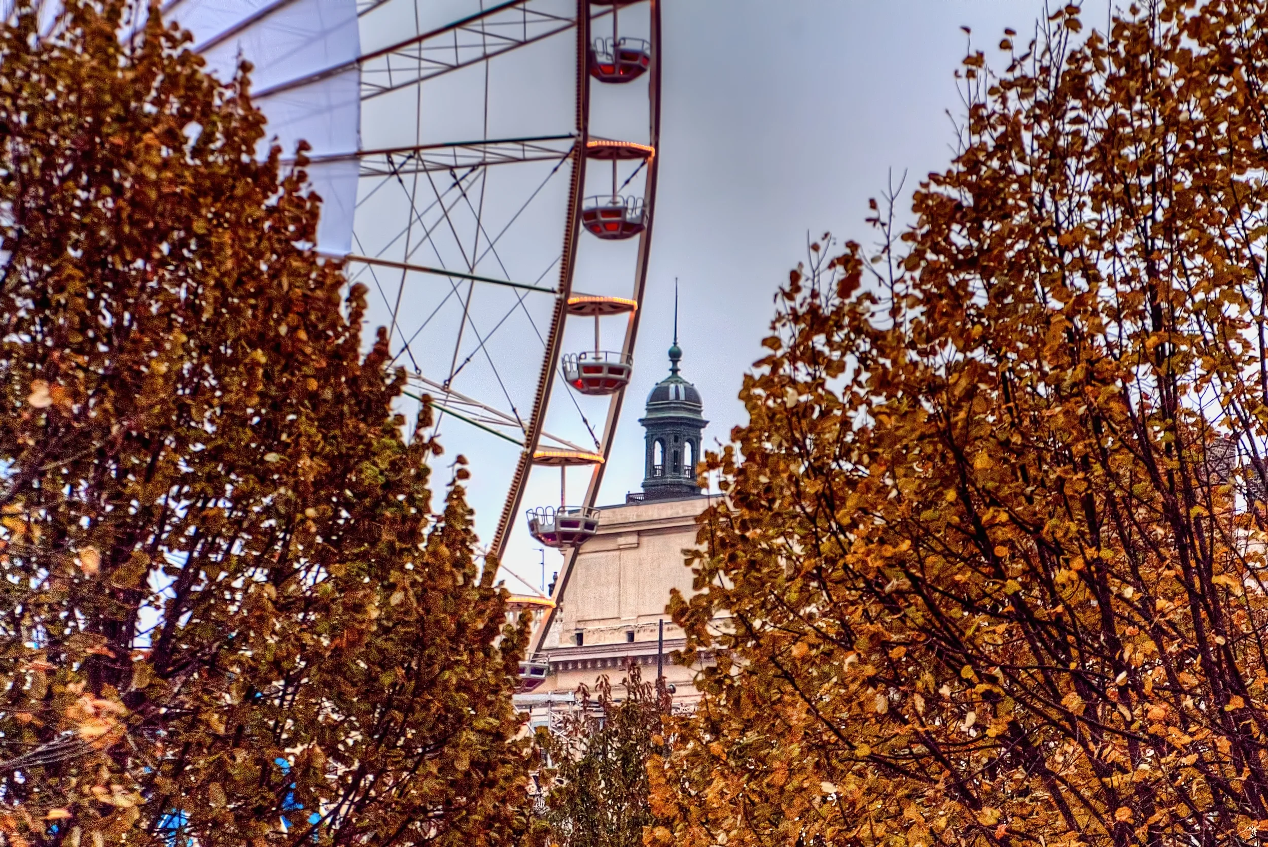 OTOÑO EN LYON.jpg