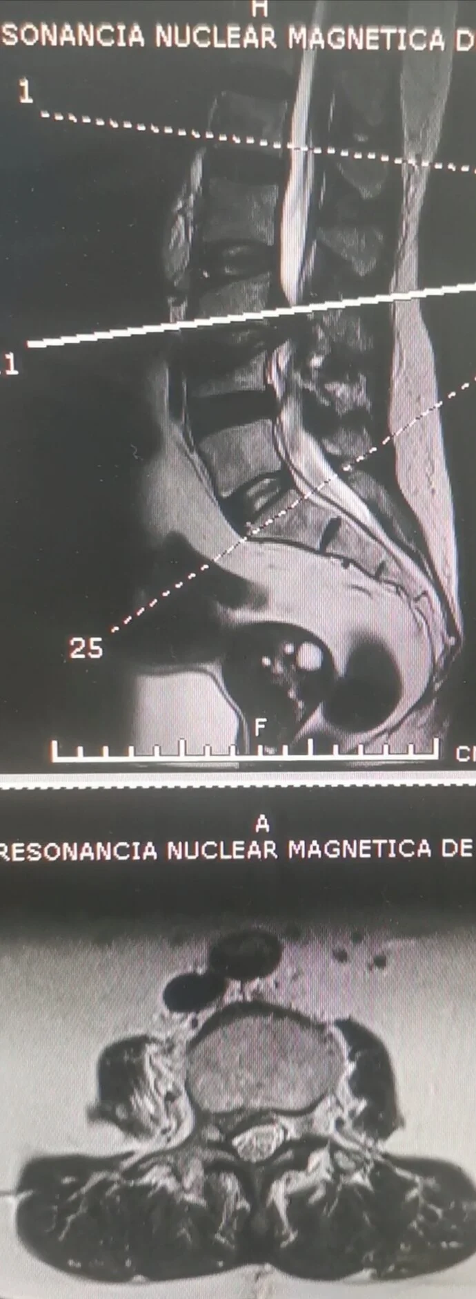 Screenshot_20200816_220150.jpg