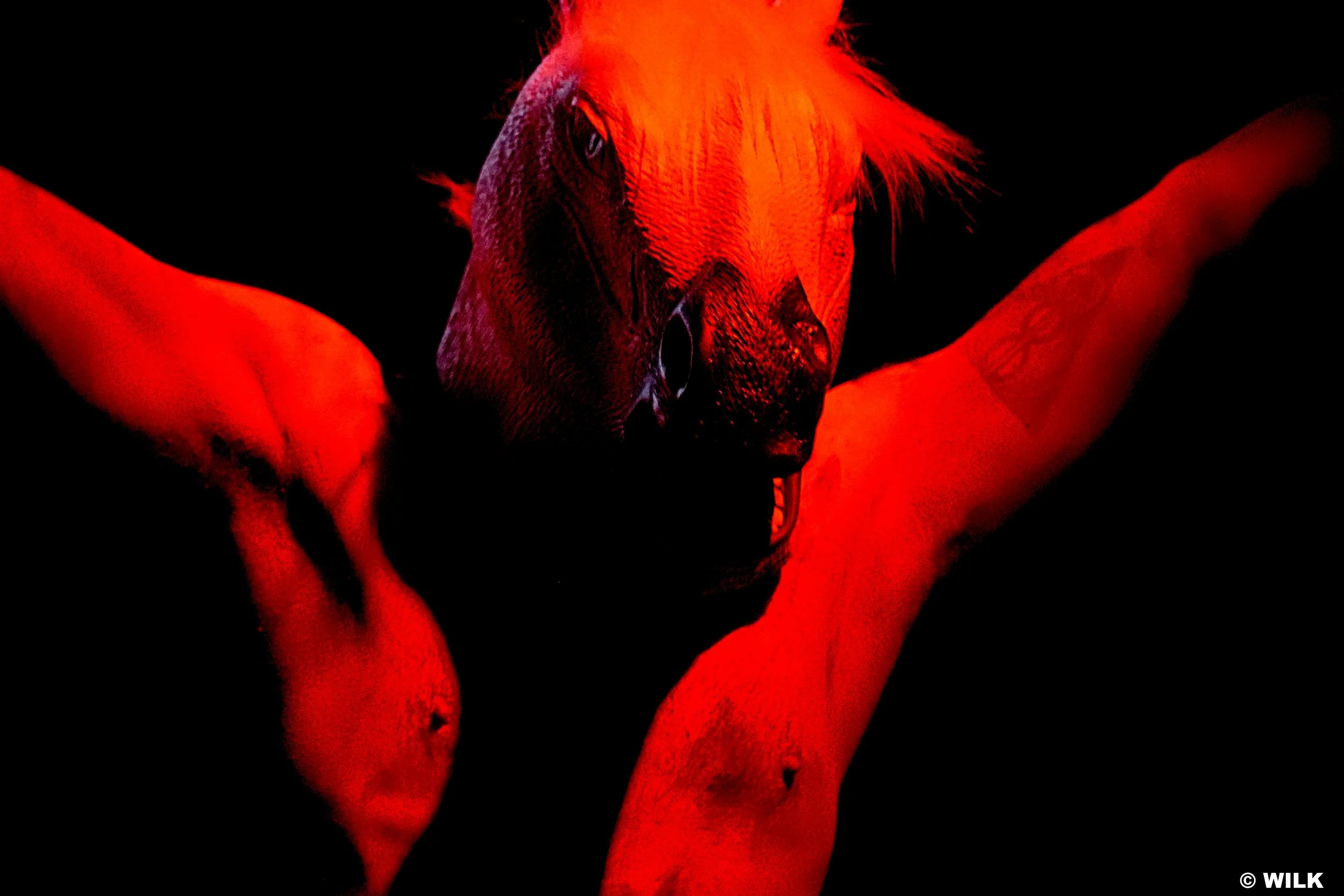 labirynt-niewidzialnego-swiata_foto_wilk_007.jpeg