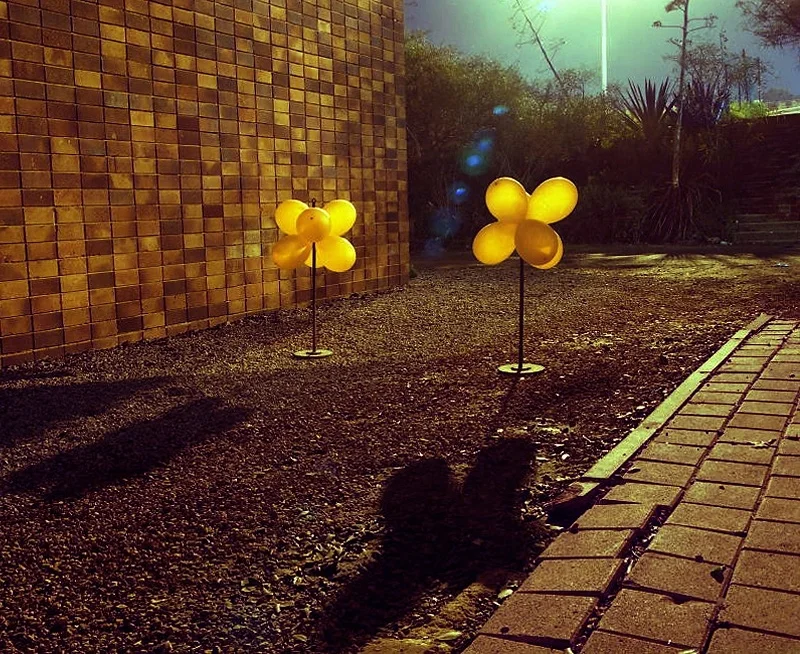 Unrooted, 2006