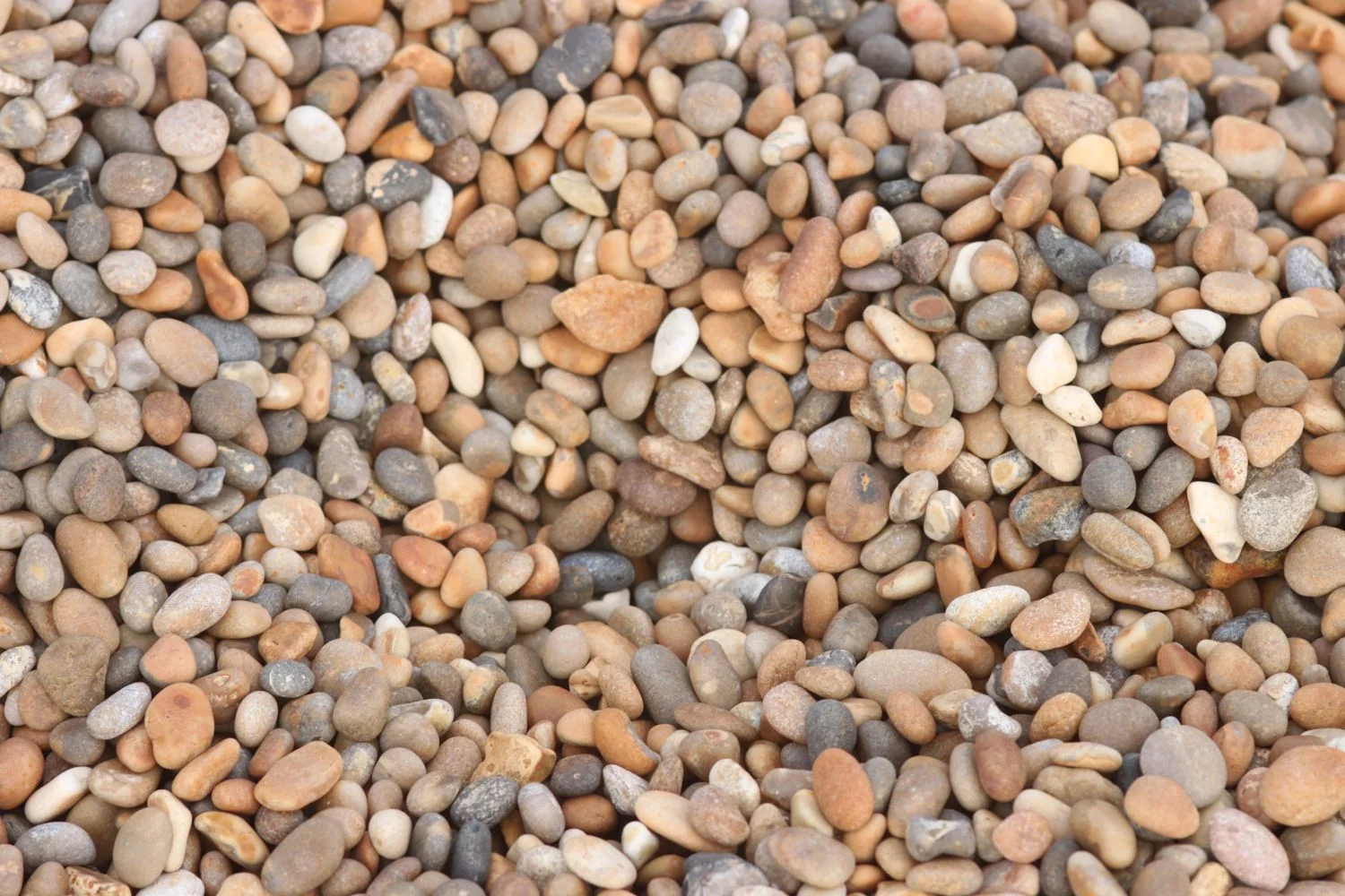 chesil beach pebbles