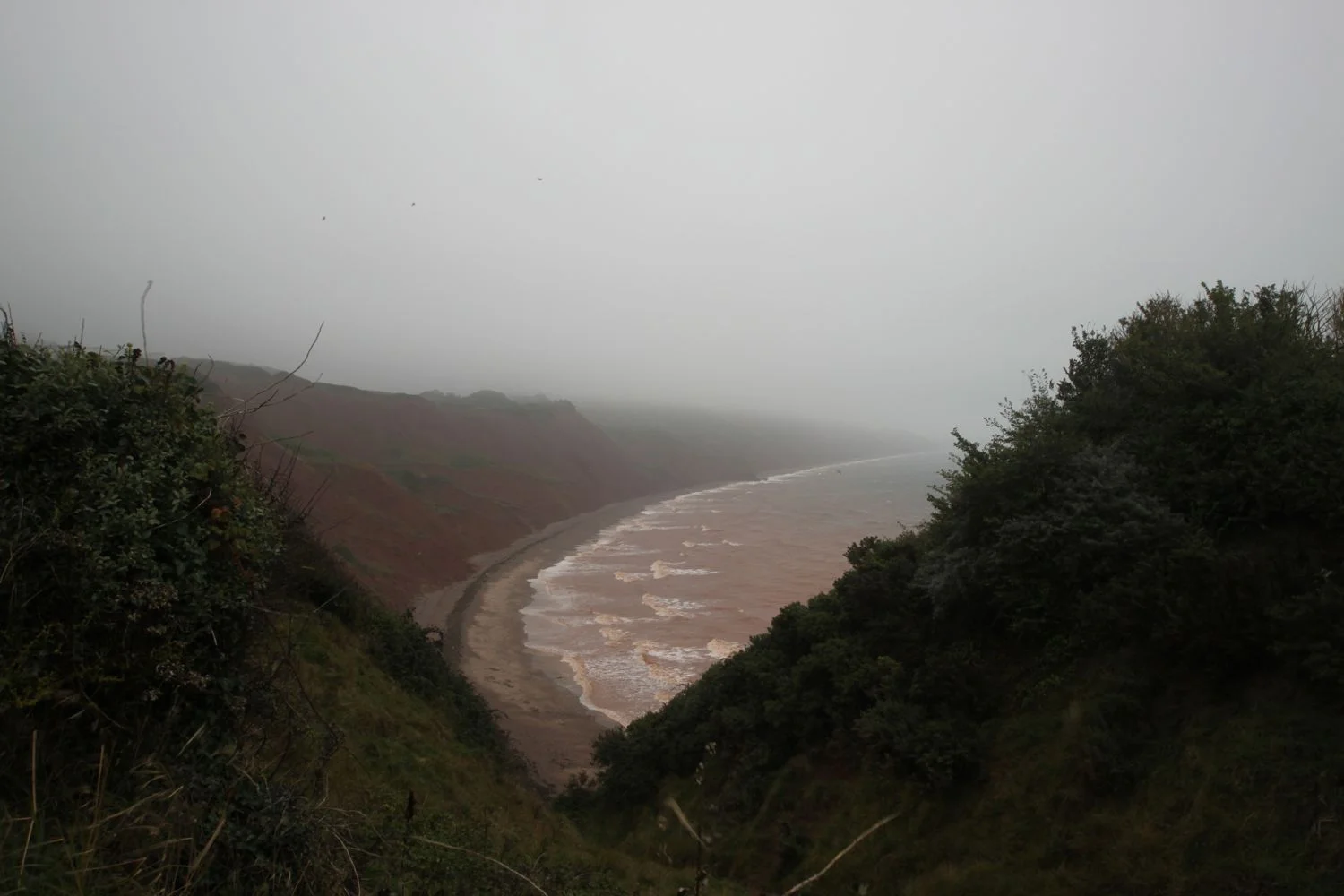 littleham cove