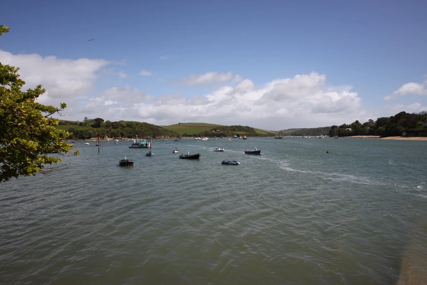 salcombe