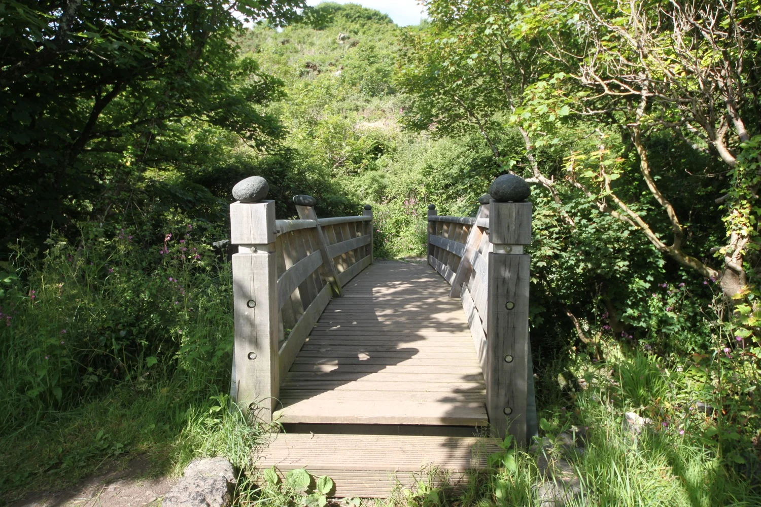 poltesco footbridge