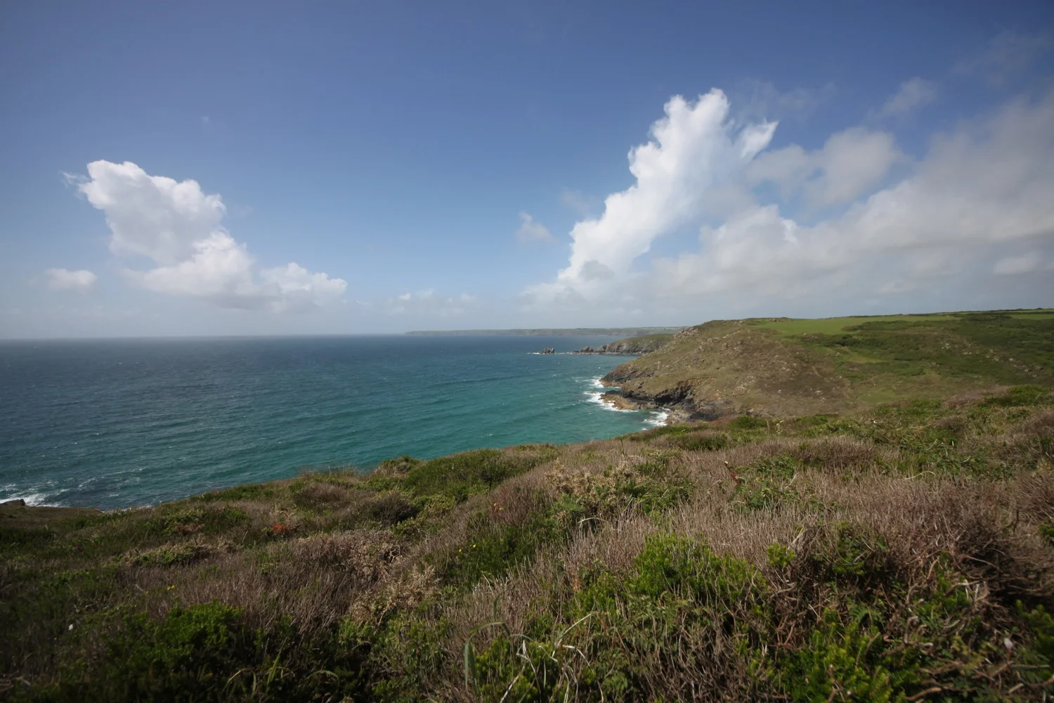 view back to lizard point