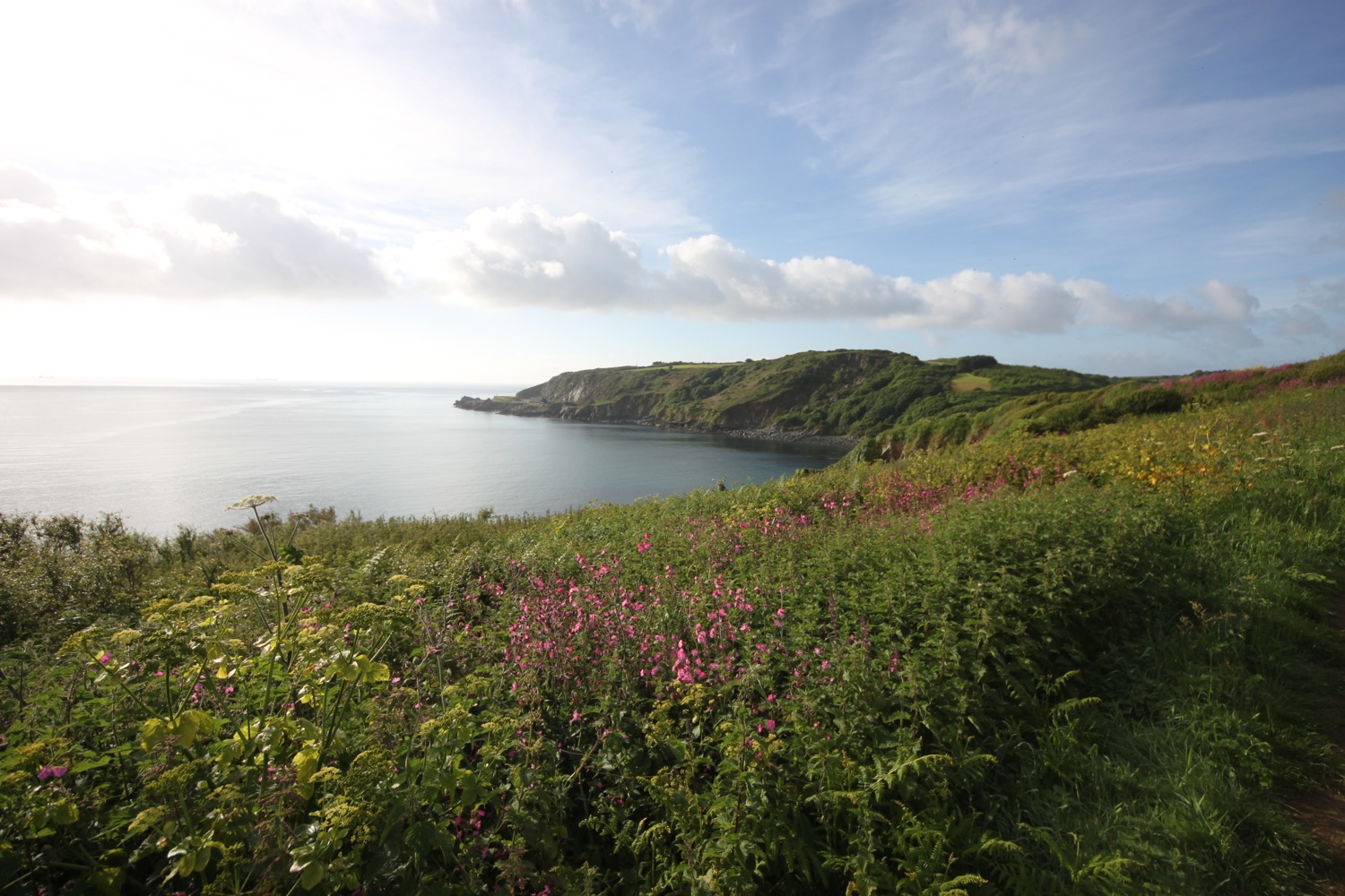 view back to porthallow