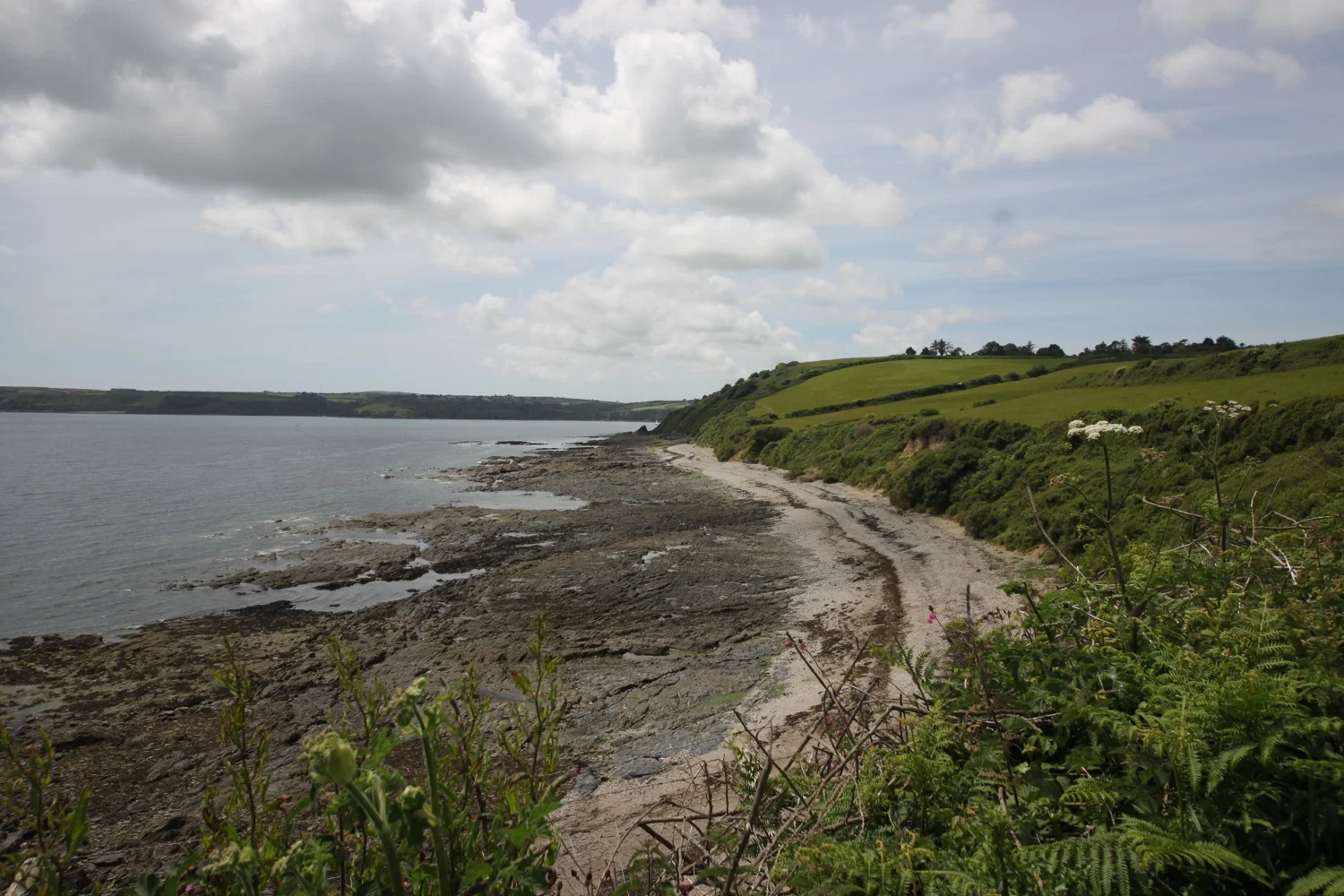 rosemullion head
