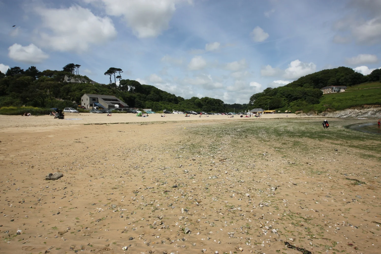 maenporth beach