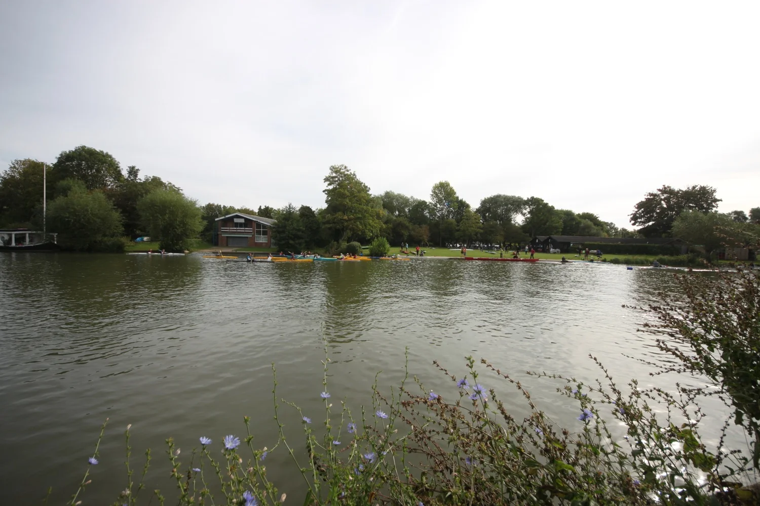 falcon rowing and canoeing club