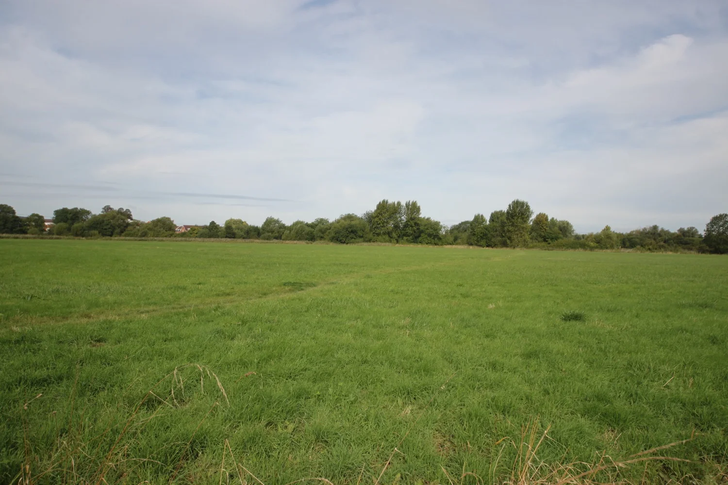 iffley meadows