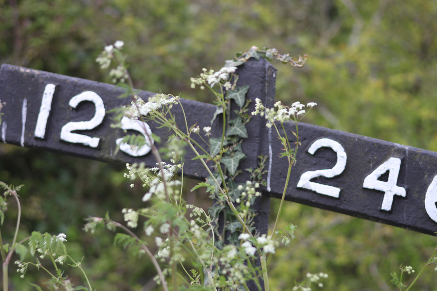 railway sign.jpg