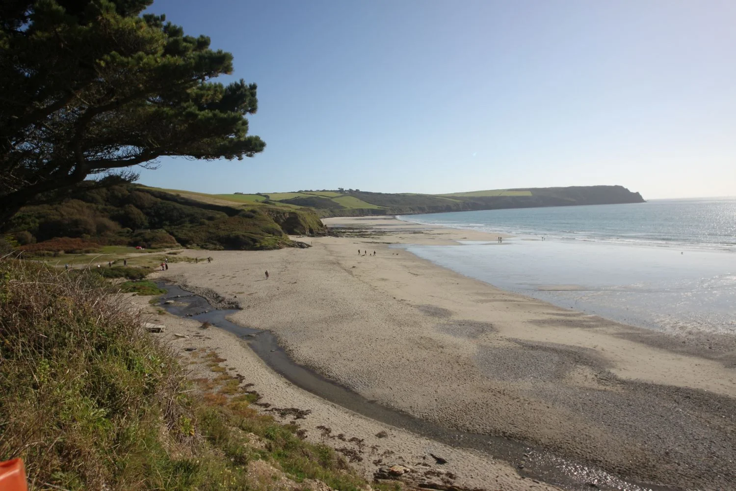 view back over pendower beach and carne beach