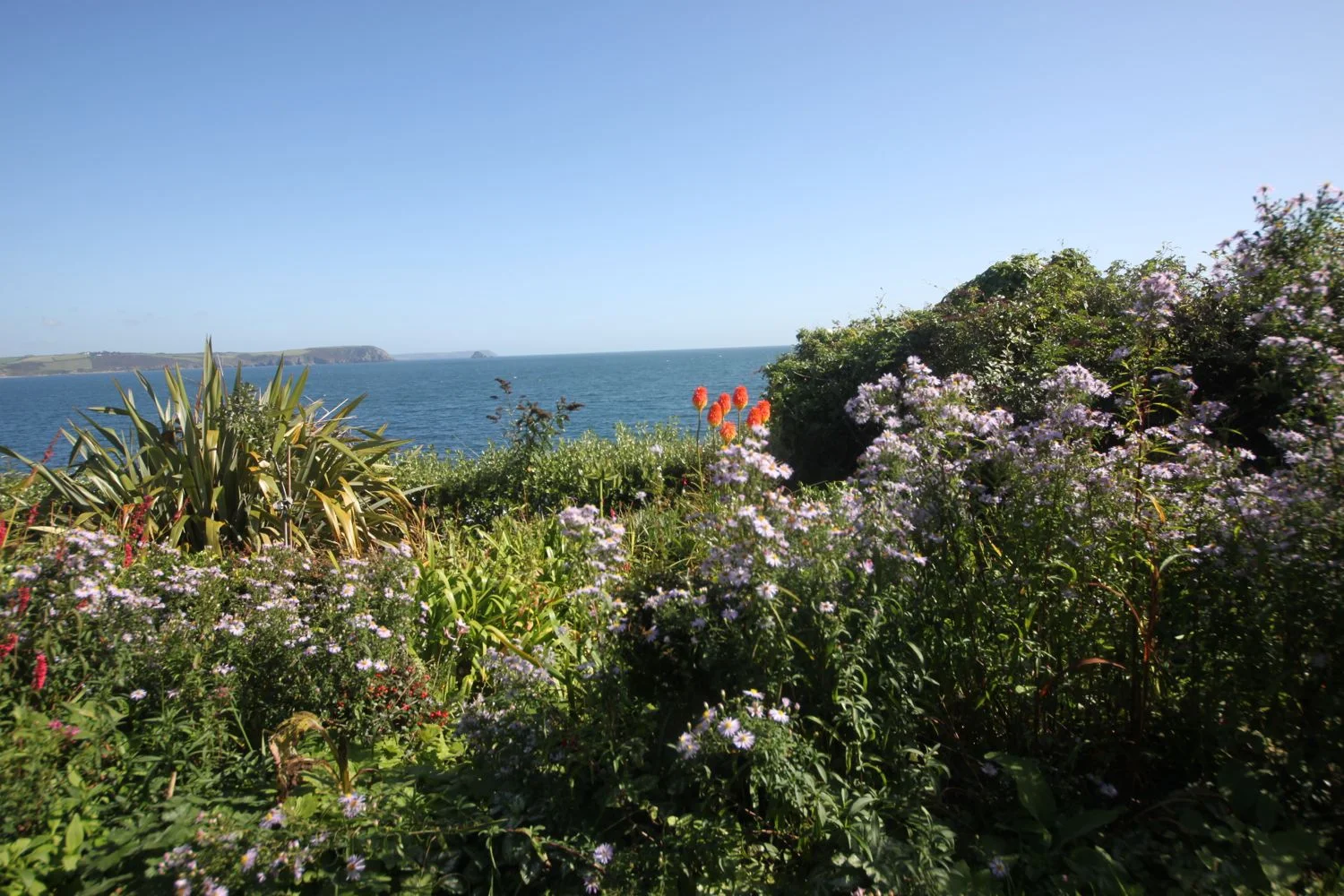 portscatho garden