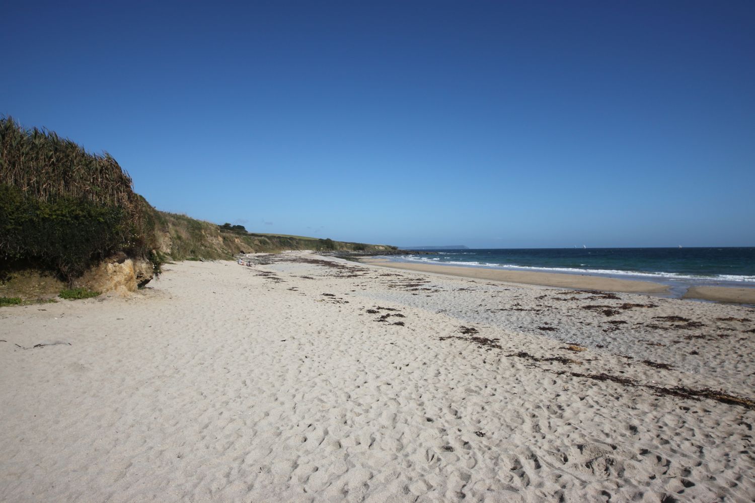 towan beach 1.jpg