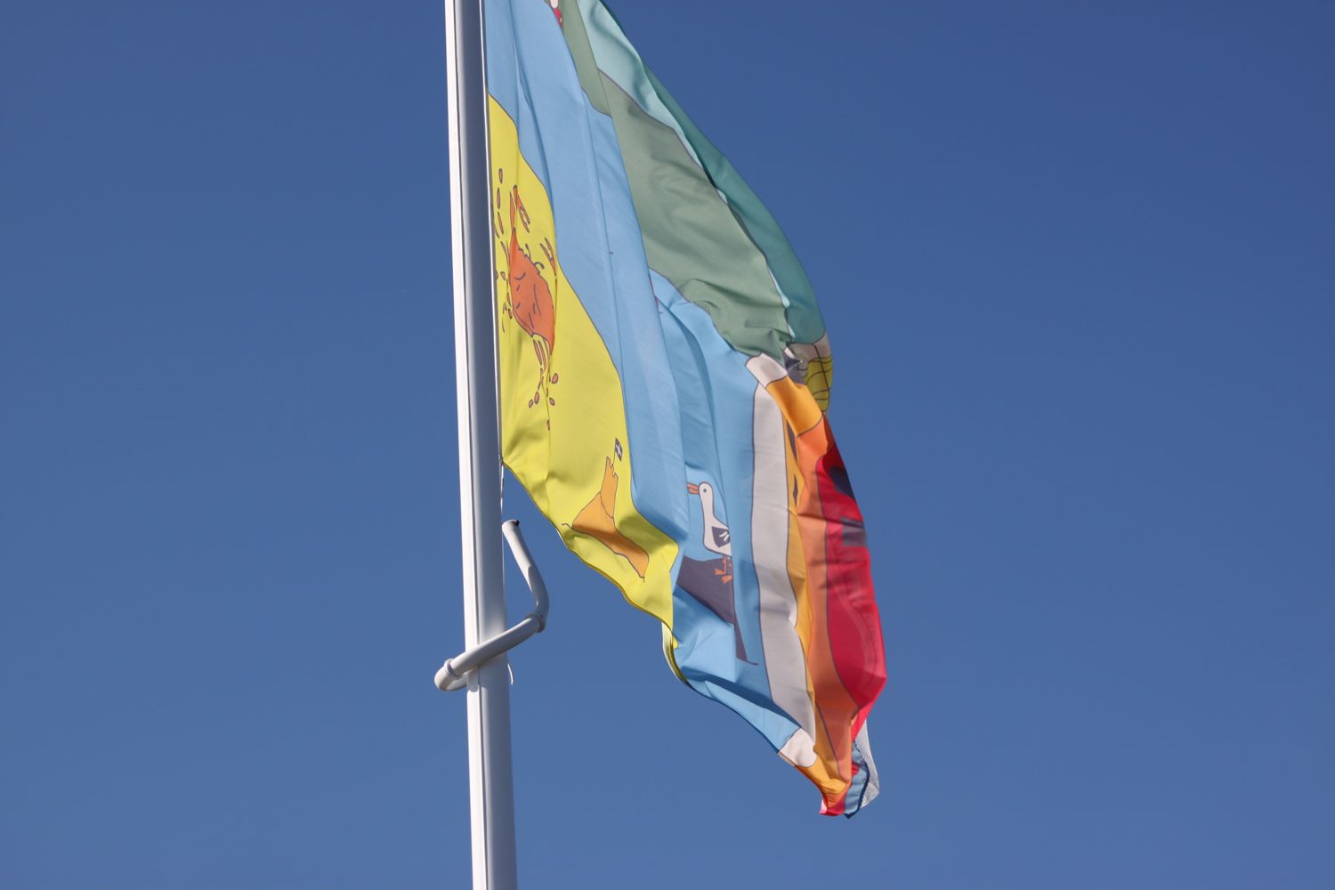 flags 4.jpg