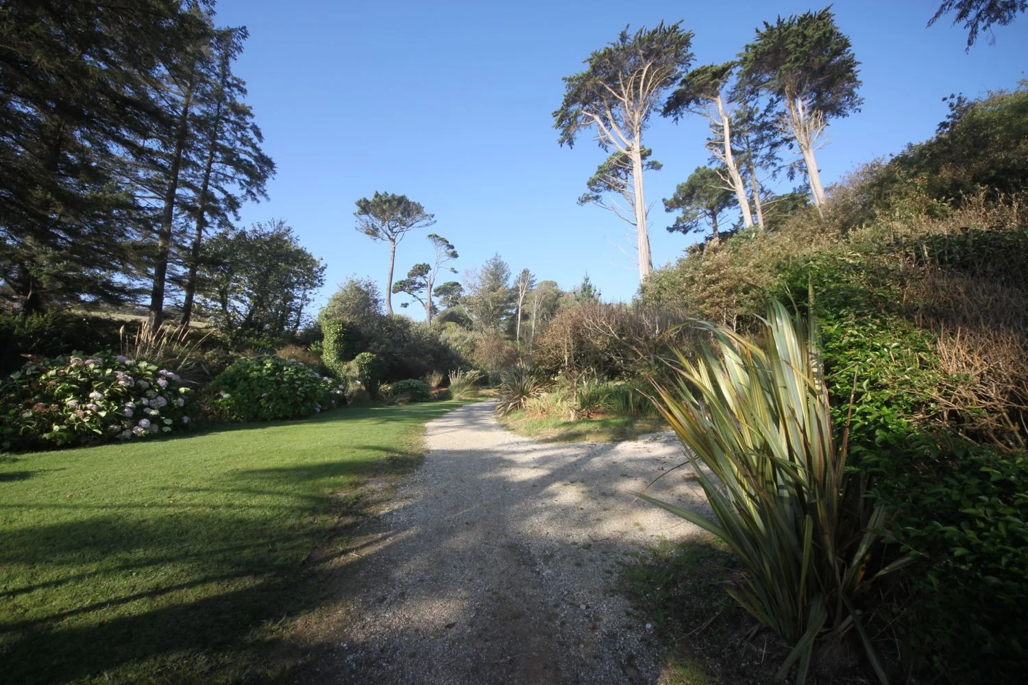 sub tropical gardens at meudon hotel