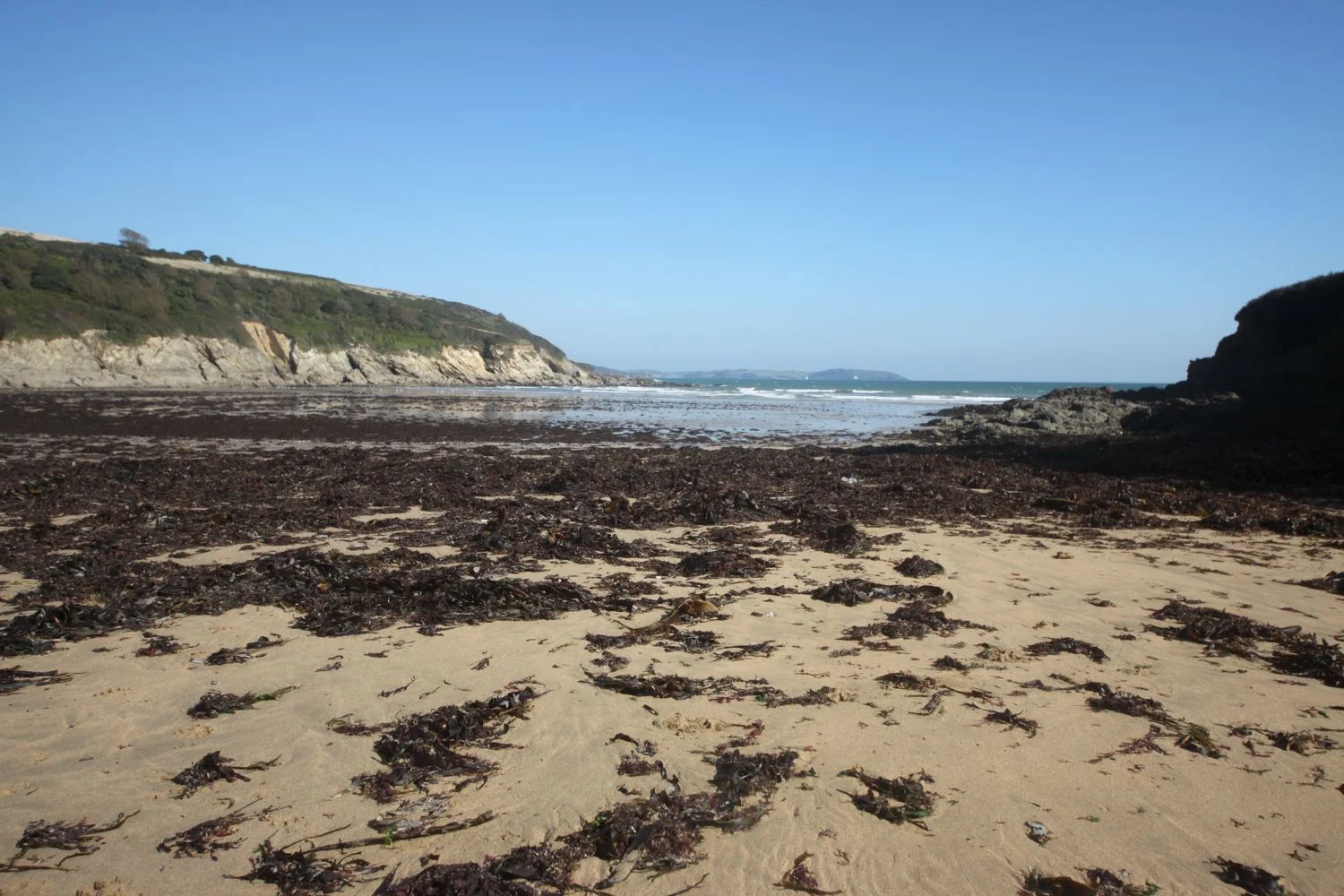 maenporth beach