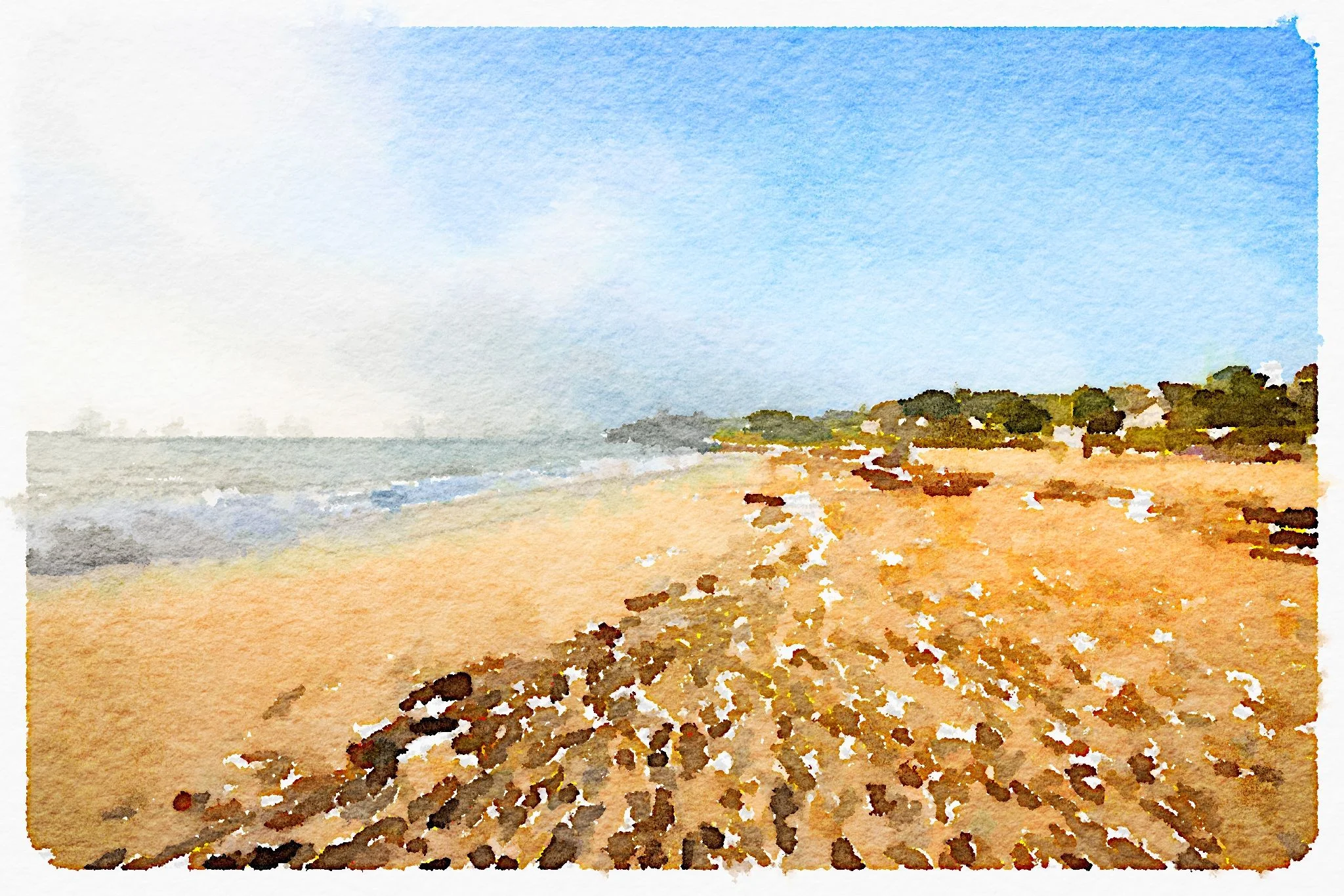 gyllyngvase beach