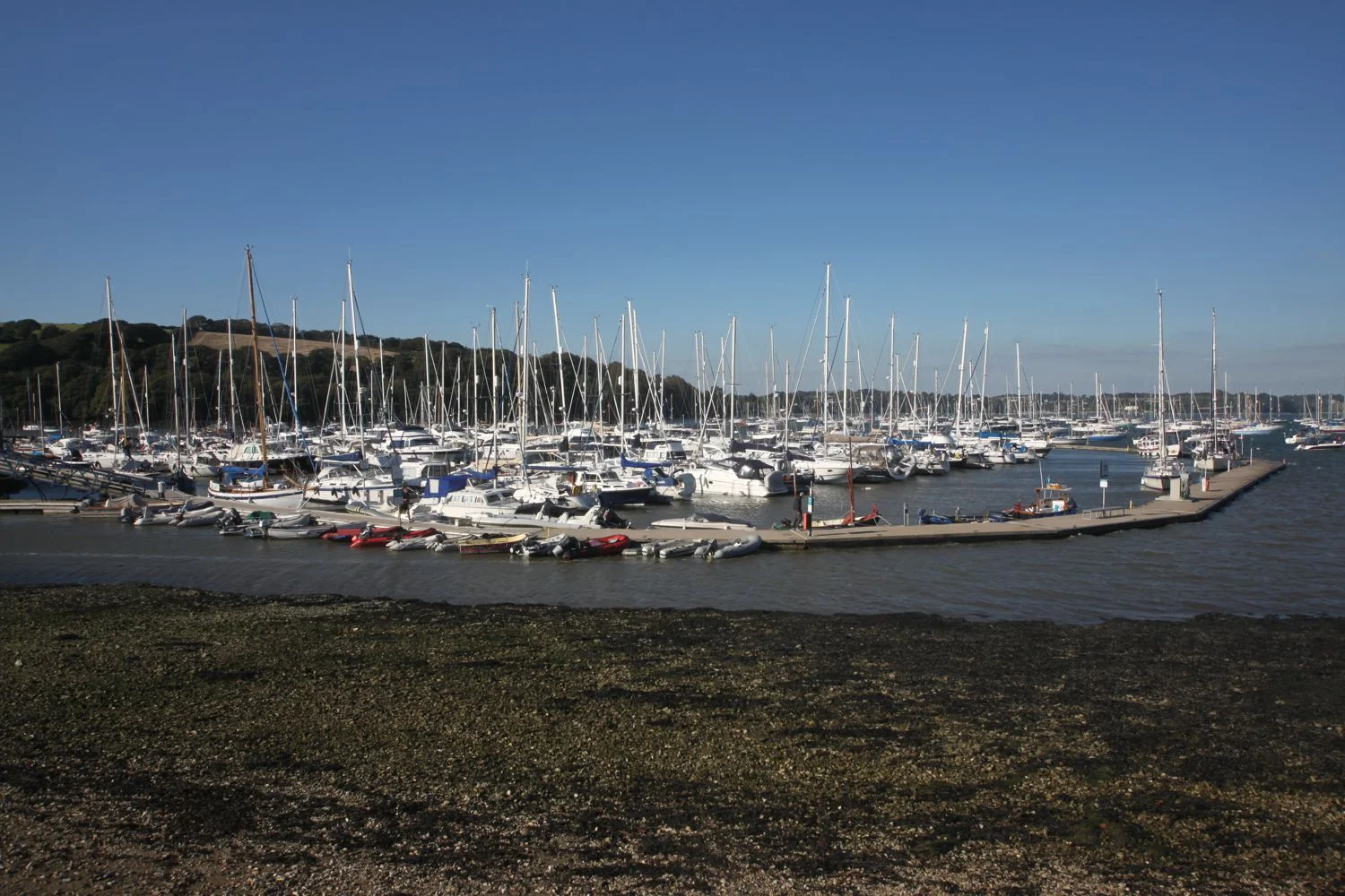 yachts everywhere