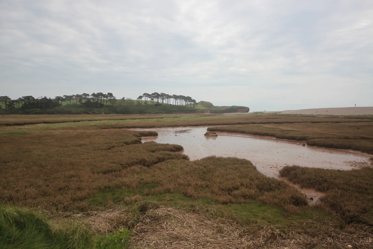 otter estuary nature reserve
