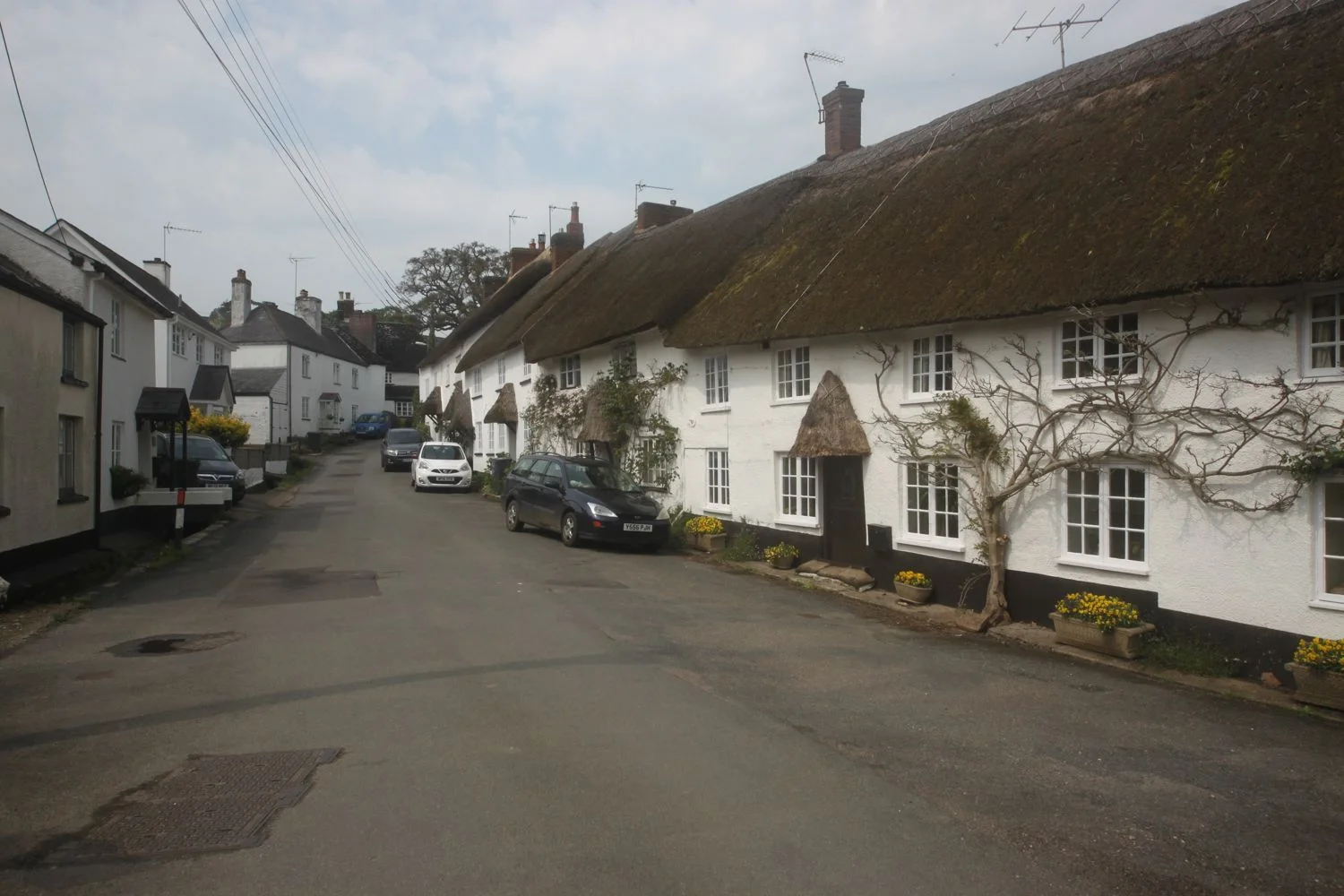 cottages on bridge street