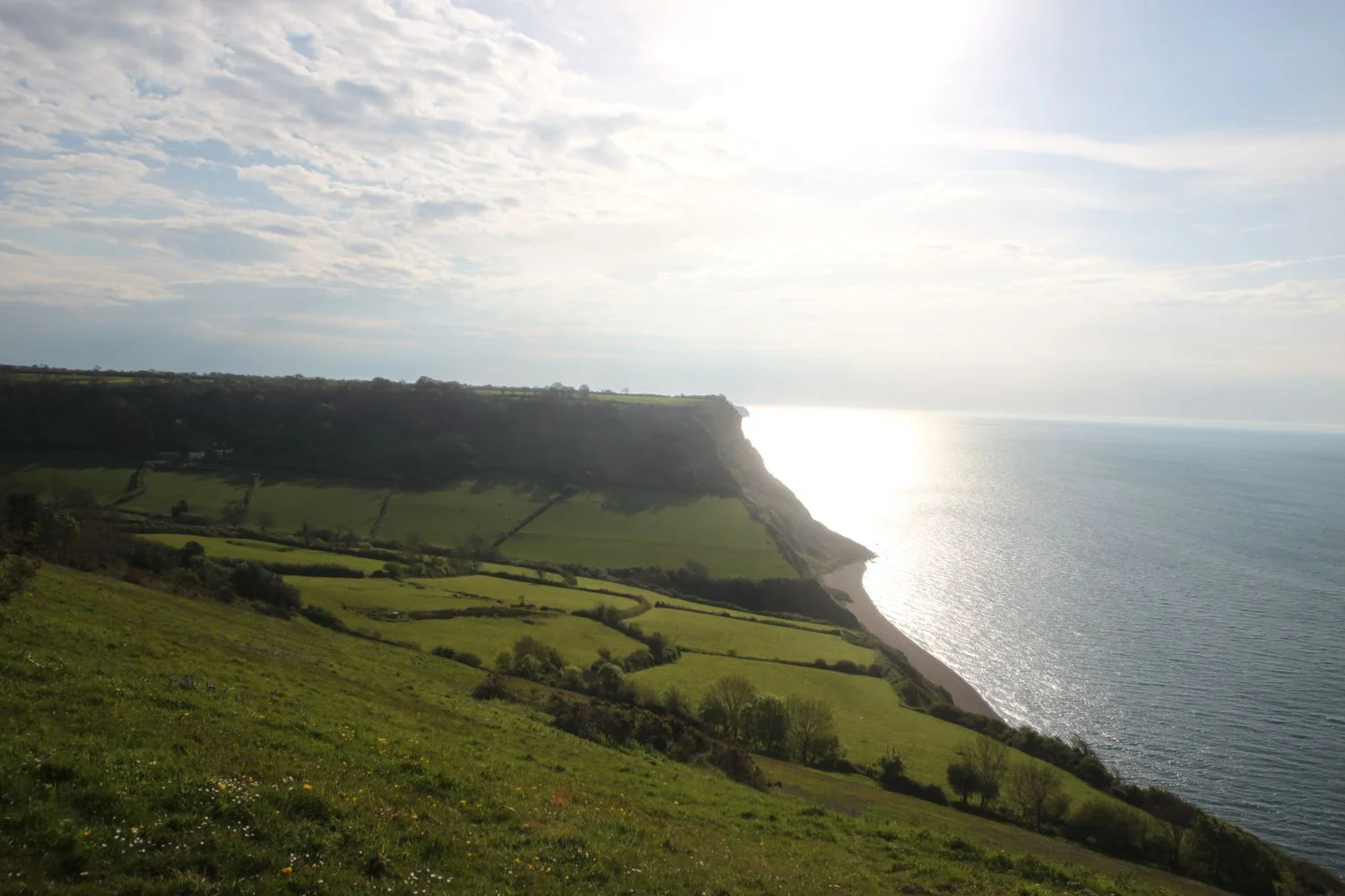 the view ahead