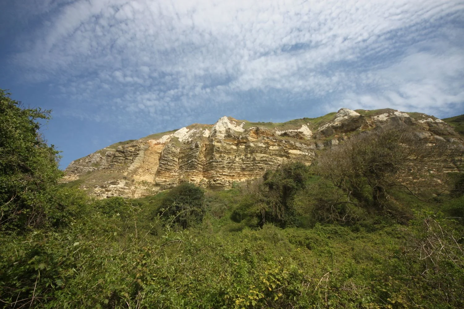 hooken undercliff