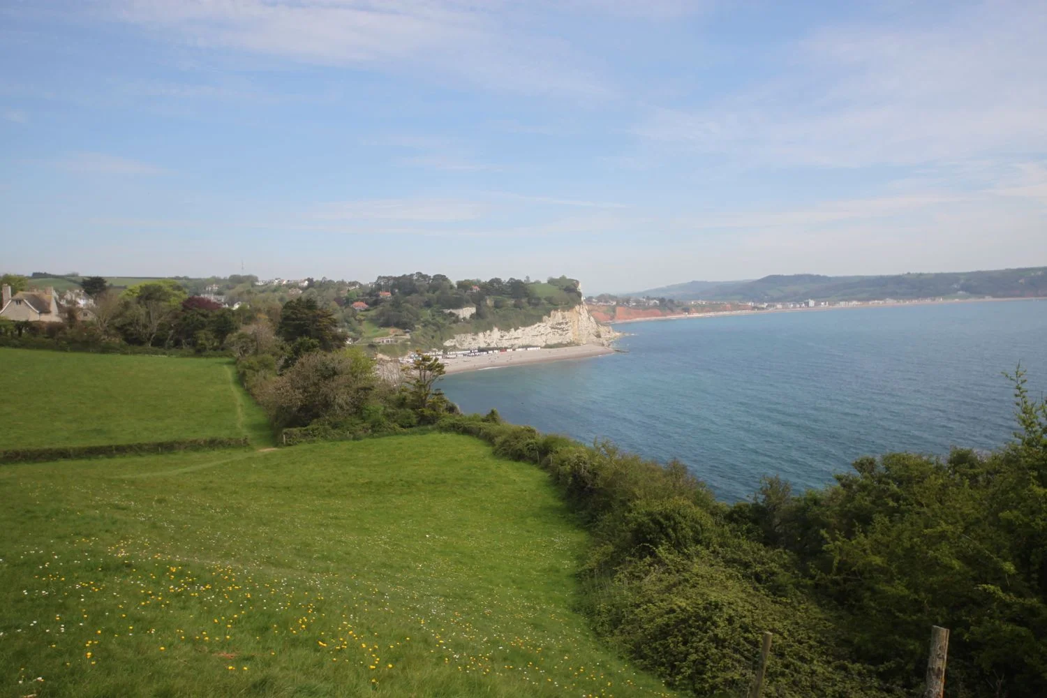 view over beer and seaton