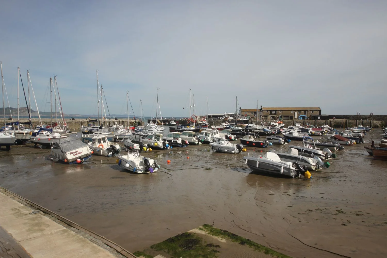 the cobb at lyme regis