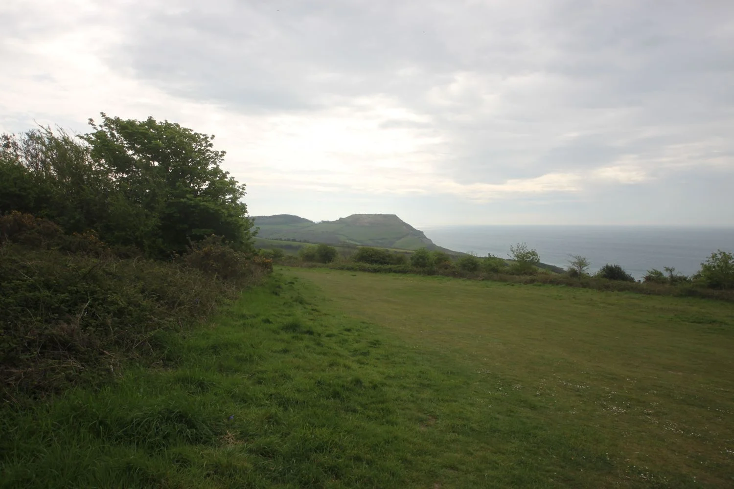 view to golden cap