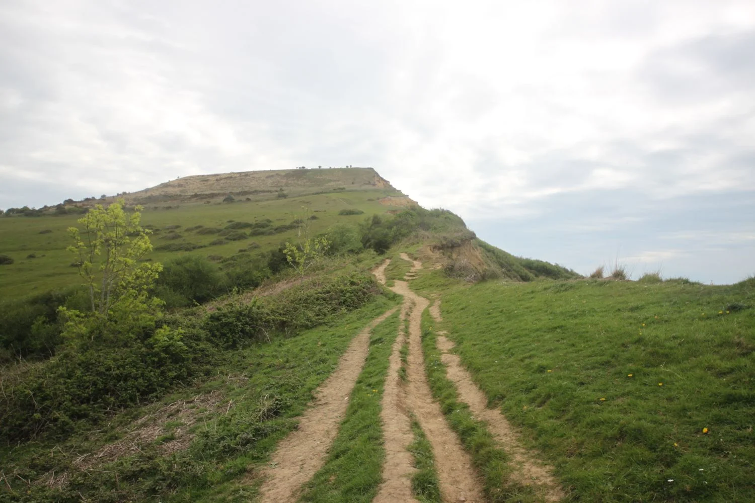 the climb up golden cap