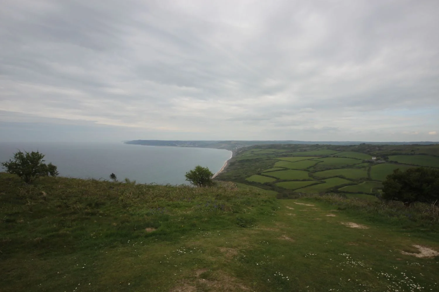 golden cap back to lyme regis